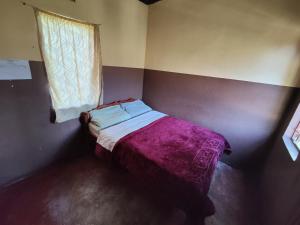 利文斯顿Simoonga Thandizani School的一间小卧室,配有一张带紫色毯子的床