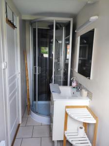 滨海卡约La cabine en Baie de Somme的带淋浴和盥洗盆的浴室