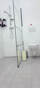 维也纳King Studio 3P WL的一间带玻璃淋浴和卫生间的浴室