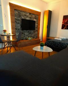 塞雷ALEXANDER Golden View Serres的客厅设有石头壁炉及电视