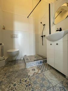 俄斯特拉发俄斯特拉发摩拉维亚旅舍的带淋浴、盥洗盆和卫生间的浴室