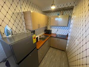 阿克拉Confortable 2 bedrooms - Center of Osu noble house的一间带水槽和冰箱的小厨房