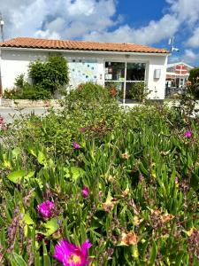 阿尔桑雷Campiotel Les Dunes - ROMANEE的一座花园,在房子前面种有紫色的花朵