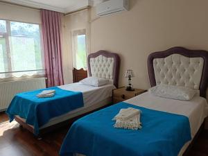 特拉布宗Villa Fatma的一间卧室设有两张带蓝色床单的床和窗户。
