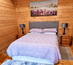 基尔肯尼Desart School Garden Chalet的一间卧室配有一张床和两个带灯的床头柜