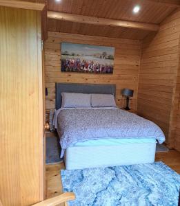 基尔肯尼Desart School Garden Chalet的木制客房内的一间卧室,配有一张床