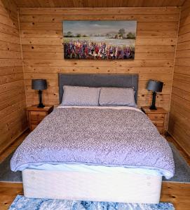 基尔肯尼Desart School Garden Chalet的一间卧室配有一张大床和两盏灯