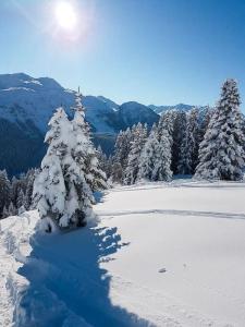 Chalet Gütsch Andermatt平面图