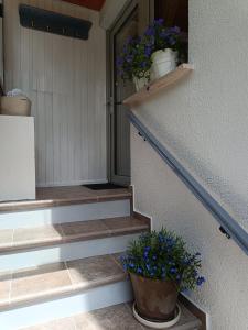 博维茨Holiday Home Kristi的两棵盆栽植物的楼梯