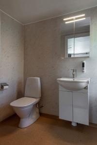 långstorp的一间带卫生间和水槽的浴室