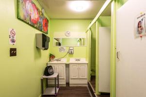 布卢里弗蓝河小屋及露营地的浴室设有绿色的墙壁、水槽和镜子