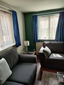 伦敦Comfortable Two Bedroom Modern Apartment的客厅配有两张沙发和蓝色窗帘
