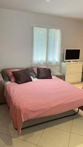 尼姆Studio indépendant calme pas loin du centre的一间卧室配有一张带粉色毯子的大床