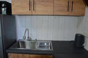 亚列姆切Bukovets'的厨房配有不锈钢盥洗盆和木柜