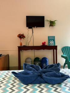康塞普西翁德阿塔科Villa Castillo de Ensueño的床上的蓝色毯子,配有电视