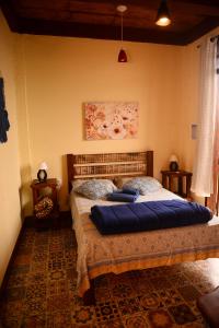 蒂拉登特斯Pousada Residência Balestra的一间卧室配有一张带蓝色枕头的床。