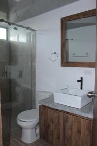 佩雷拉Hotel Campestre Sueño del Abuelo的一间带水槽、卫生间和镜子的浴室