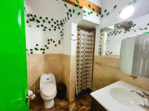 麦德林Hostal Casa Guadalupe的一间带卫生间和水槽的浴室