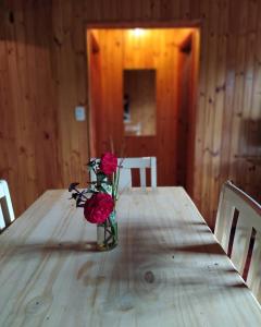 伊瓜苏港Los Horneros的花瓶,坐在木桌前