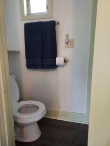 ShaftsburySerenity Motel的一间带卫生间和蓝毛巾的浴室