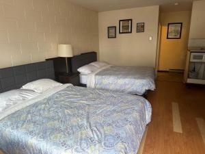 霍普City Centre Motel II的酒店客房,设有两张床和一盏灯