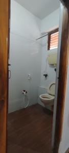 蓬蒂切里CGR PONDY的一间带卫生间和窗户的小浴室