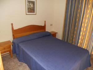 萨洛萨鲁帕拉斯公寓的一间卧室配有一张带蓝色棉被的床