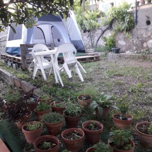塞特港Deux tentes confortables dans un joli jardin idéalement situé的帐篷前的两把白色椅子和盆栽植物