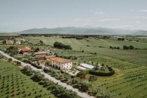 卡斯蒂廖恩菲奥伦蒂诺Podere Il Belvedere su Cortona的田野中村庄的空中景观