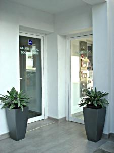 贝纳哈拉菲尼扎普拉亚野营山谷酒店的两个盆栽植物坐在商店前
