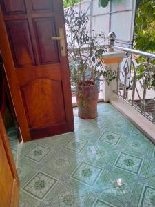 奠边府市Homestay Anh Sửu的阳台上的门和盆栽植物