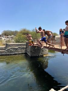 阿斯旺Artika Wadi Kiki Hotel的一群男孩从桥上跳进水中