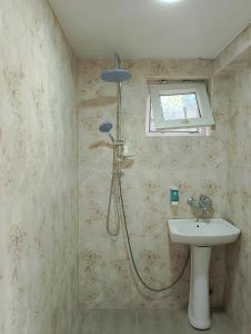 巴统Jessi Batumi的带淋浴和盥洗盆的浴室