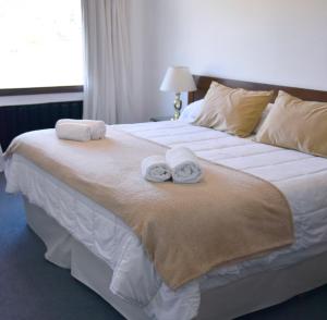 圣马丁德洛斯Hotel Caupolican by Visionnaire的一间卧室配有一张大床和毛巾