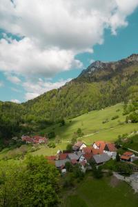 PodbrdoHiša Juliana - Perfect Starting Point To Explore Slovenia的山地绿地中的一群房子