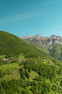 PodbrdoHiša Juliana - Perfect Starting Point To Explore Slovenia的享有山谷的背景山景。