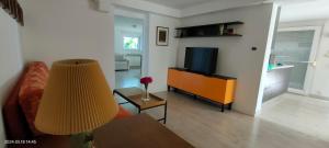 维普里纳克佩尔格拉公寓的带沙发和电视的客厅