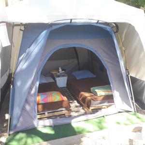 塞特港Deux tentes confortables dans un joli jardin idéalement situé的帐篷配有两张床和一张桌子