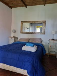 查斯科穆斯Tordillo B&B的一间卧室配有一张带蓝色被子和镜子的床