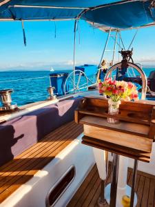 CareneroSail boat in Bocas del Toro的甲板上花瓶的船