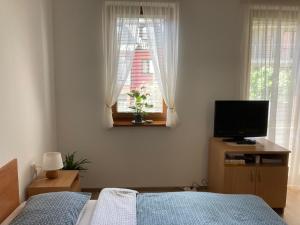 奥什恰德尼察Apartmán Janka的一间卧室配有一张床、一台电视和一个窗口