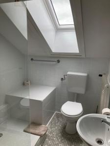 施马伦贝格Bed & Breakfast Weisser Stein的浴室配有卫生间、水槽和天窗。