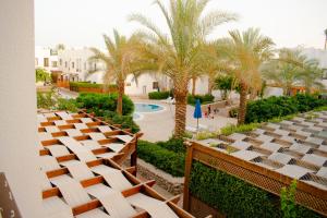 沙姆沙伊赫Cozy Apartment in the Center of sharm el sheikh的一座棕榈树和游泳池的露天圆形剧场