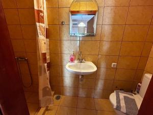 卢特拉艾季普苏Retro Rooms的一间带水槽、镜子和卫生间的浴室