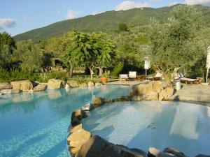 雷杰洛B&B I Trebbiali的一座庭院内的大型游泳池,里面设有岩石