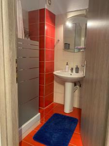埃泽萨Central & Riverfront Room的一间带水槽和镜子的小浴室