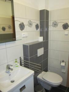 布尔诺科尔波勒旅馆的一间带水槽、卫生间和镜子的浴室