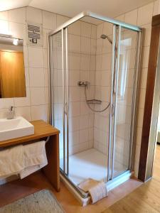 施科佩尔瑙Pension Zita的浴室里设有玻璃门淋浴