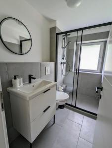 巴特布莱贝格Haus im Hochtal的浴室配有盥洗盆和带镜子的淋浴