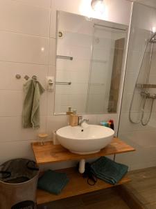 沙莫林Victory apartmán的浴室配有白色水槽和淋浴。
